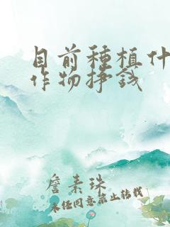 目前种植什么农作物挣钱