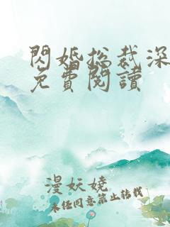 闪婚总裁深深宠免费阅读