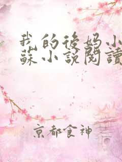 我的后妈小姨苏苏小说阅读