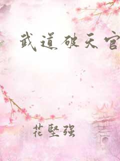 武道破天官网