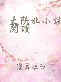 大陕北小说在线阅读