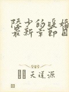 陆少的暖婚新妻最新章节目录
