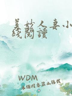 美妙人妻小说在线阅读