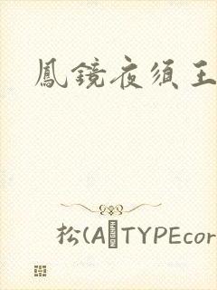 凤镜夜须王环