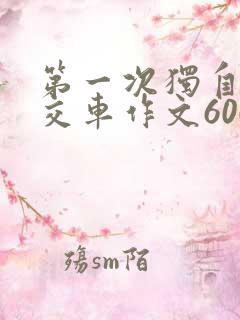 第一次独自坐公交车作文600字