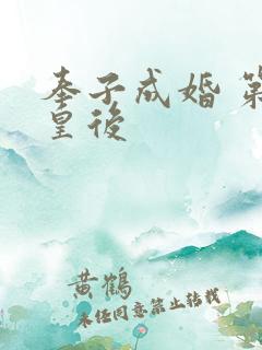 奉子成婚 第一皇后