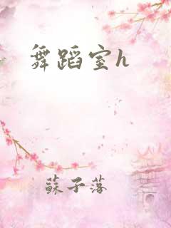 舞蹈室h