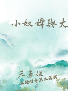 小奴婢与大少爷