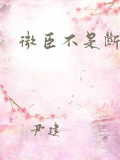 微臣不是断袖