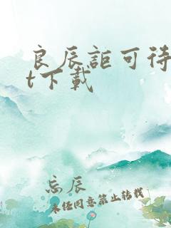 良辰讵可待txt下载