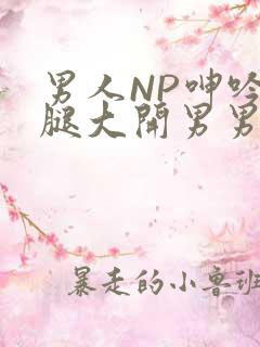 男人NP呻吟双腿大开男男小说
