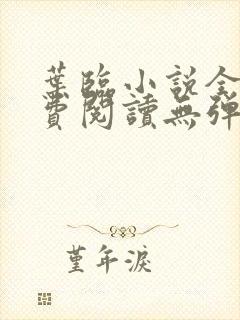 叶临小说全文免费阅读无弹窗