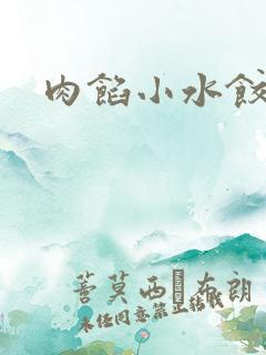 肉馅小水饺