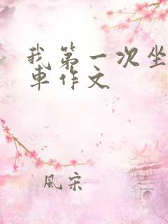 我第一次坐公交车作文