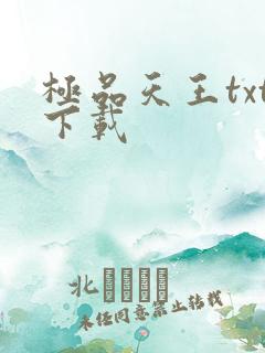 极品天王txt下载