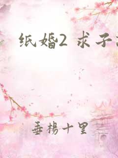 纸婚2 求子记