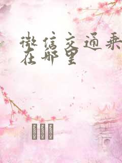 微信交通乘车码在哪里