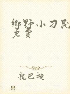 乡野小刁民小说免费