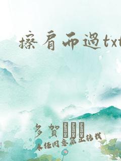 擦肩而过txt