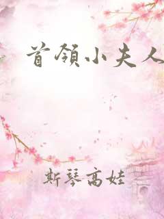 首领小夫人