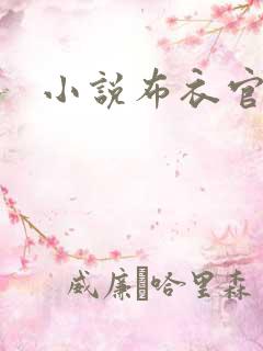 小说布衣官道