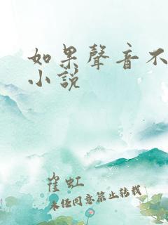 如果声音不记得小说