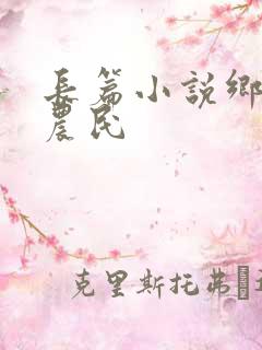 长篇小说乡村小农民