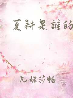 夏耕是谁的女婿