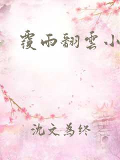 覆雨翻云小说