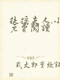 扶摇夫人.小说免费阅读