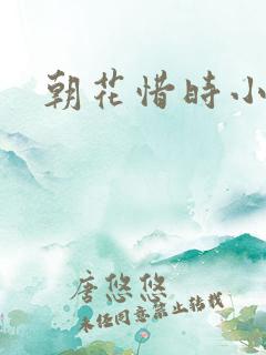 朝花惜时小说