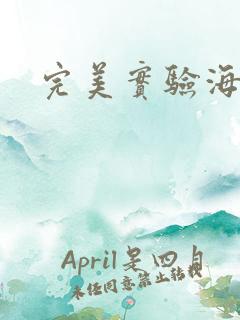 完美实验海龟汤