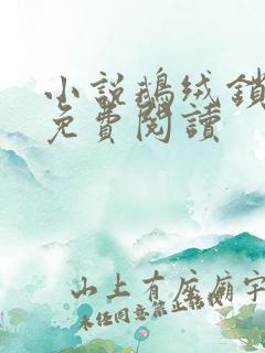 小说鹅绒锁全文免费阅读