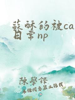 苏酥的被cao日常np
