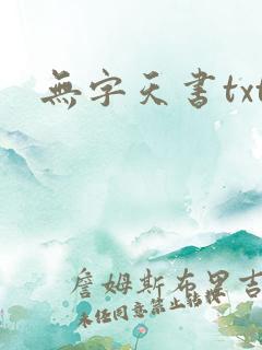 无字天书txt