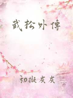 武松外传