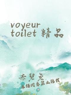 voyeur toilet 精品