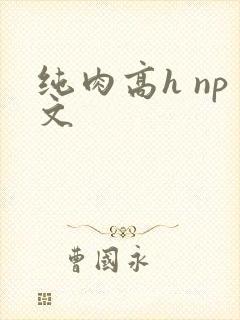 纯肉高h np文