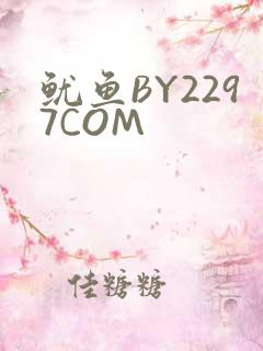 鱿鱼BY2297COM