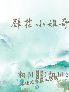 壁花小姐奇遇记