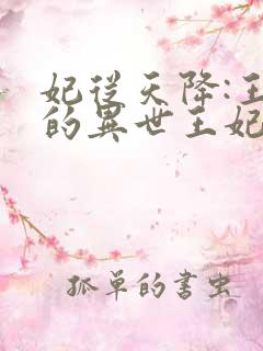 妃从天降:王爷的异世王妃