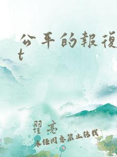 公平的报复txt