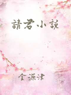 请君小说