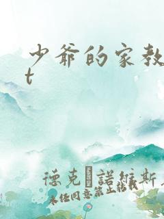 少爷的家教txt