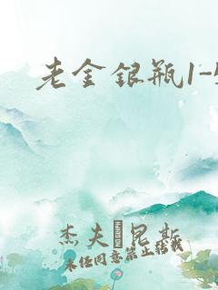 老金银瓶1-5