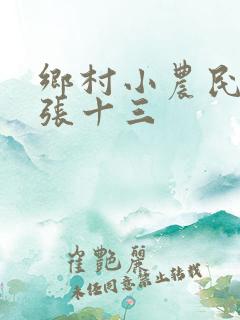 乡村小农民作者张十三