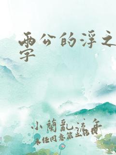两公的浮之手中字