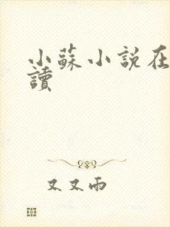 小苏小说在线阅读