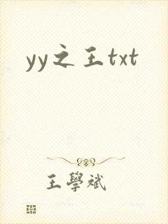 yy之王txt