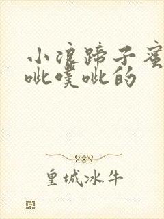 小浪蹄子蜜水噗呲噗呲的